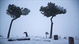 Χιονόπτωση στη Ρώμη