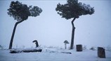Ευρώπη: Η επέλαση του πολικού ψύχους από τη Σιβηρία