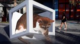 3D εγκατάσταση στο Ντουμπάι