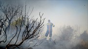 Πυρκαγιά στα Άγναντα Ηλείας
