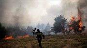 Υπό μερικό έλεγχο η πυρκαγιά στον Αυλώνα