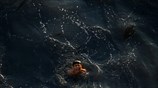 Βουτιά σε μολυσμένα νερά