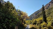 Καλάβρυτα: Καλά στην υγεία του εντοπίστηκε ο εννιάχρονος που είχε χαθεί