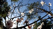Αίθριος καιρός με άνοδο της θερμοκρασίας