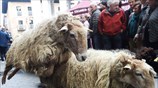 Ημέρα του Βοσκού στη Χώρα των Βάσκων