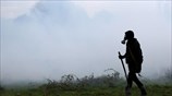 Επεισόδια μεταξύ διαδηλωτών και αστυνομικών στη Γαλλία