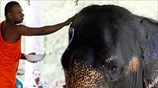 Θρησκευτικές παραδόσεις στη Σρι Λάνκα