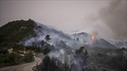 Ηλεία: Υπό πλήρη έλεγχο η φωτιά στη Φρίξα