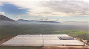 N. Greece agri-business eyes 40mln€ investment plan