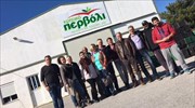 Detective Goodnose – The Tomato Success Story Ένα Success Story στην Κρήτη….