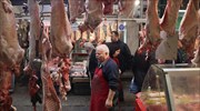 Μeat imports to Greece up 5.57% in crisis years; market turnover at 10bln€ annually