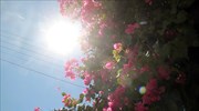 Αίθριος ο καιρός σήμερα