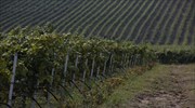 Λιγότερο ευρωπαϊκό κρασί λόγω των καιρικών συνθηκών