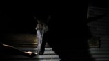 Δείπνο στα σκοτεινά στο Πουέρτο Ρίκο