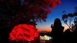 Φεστιβάλ φωτός στο Σίδνεϊ