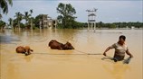 Πλημμύρες στην Αγκαρτάλα