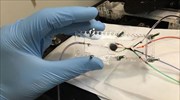 3D εκτυπωτής που δημιουργεί βιολογικούς ιστούς