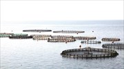 Προς διπλασιασμό της παραγωγής στη μεσογειακή ιχθυοκαλλιέργεια έως το 2030