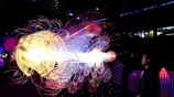 Vivid Sydney: Τελευταίες εργασίες πριν το επίσημο άνοιγμα