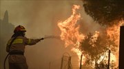 Μαίνεται πυρκαγιά στην Κύμη Ευβοίας