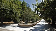 Προκαταρκτική για την κατάσταση ανομίας στο Πεδίον του Άρεως