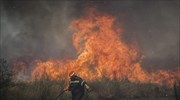 Πυρκαγιά στα Πολιτικά Ευβοίας- Δεν απειλούνται κατοικημένες περιοχές