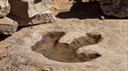 Απολιθωμένα αποτυπώματα δεινοσαύρων μελετούν Έλληνες και Κινέζοι επιστήμονες