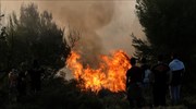 Χαλκιδική: Δασικές πυρκαγιές από πτώσεις κεραυνών