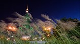 Βαρσοβία: Στα πράσινα το Παλάτι των Τεχνών