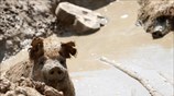Παιχνίδι στη λάσπη