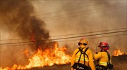 Κολοράντο: Εκκενώθηκε μικρή πόλη λόγω δασικής πυρκαγιάς