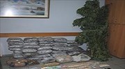 Σέρρες: Εξαρθρώθηκε πολυμελές κύκλωμα διακίνησης ναρκωτικών, 24 συλλήψεις