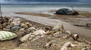 Χαλκιδική: Αποκατάσταση των ζημιών από συνεργεία Πυροσβεστικής, αντιπεριφέρειας και δήμου