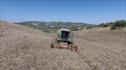 ΕΛΣΤΑΤ: Αύξηση 2,4% στον δείκτη αμοιβής συντελεστών παραγωγής σε γεωργία-κτηνοτροφία