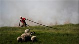 Πυρκαγιά στη Βρετανία