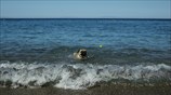 Βουτιές στην Κερατέα