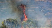 Σε εξέλιξη πυρκαγιά στο Μεσολόγγι