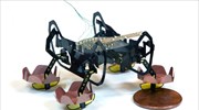 Ρομποτική κατσαρίδα για την εξερεύνηση των βυθών