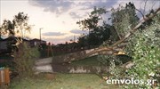 Ανεμοθύελλα έπληξε χωριό των Τρικάλων