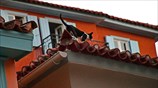 Βόλτα στα κεραμίδια του Ναυπλίου