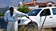 Κρούσμα του ιού του Δυτικού Νείλου σε χωριό της Θεσσαλονίκης