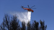 Κρήτη: Πυρκαγιά σε αγροτοδασική έκταση στη Σητεία