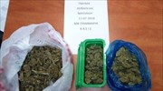 Πελοπόννησος: 96 συλλήψεις σε μία ημέρα