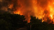 Κρήτη: Υπό μερικό έλεγχο μετά από δύο ημέρες η φωτιά στις Μάλες Λασιθίου
