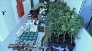 Καρδίτσα: Χειροπέδες σε οκτώ μέλη δύο οργανώσεων για διακίνηση ναρκωτικών