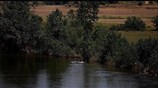 Tρία μικρά αγόρια και η μητέρα τους αγνοούνται στον Έβρο