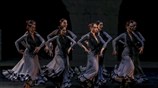Σπανιόλες στο Λίβανο