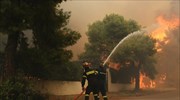 Πυρκαγιά στην Κινέτα: Ανυπολόγιστες καταστροφές από το μεσημέρι