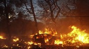 Τουλάχιστον 17 διασώσεις στη θάλασσα της Ραφήνας