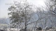 Χανιά: Νέα εστία φωτιάς τη νύχτα, σε ύφεση στον Αποκόρωνα